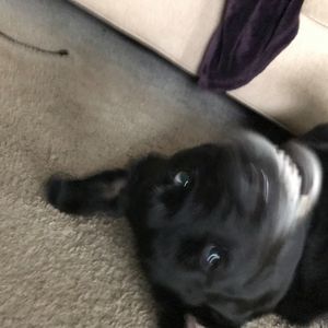 Meet your Posher, Logan